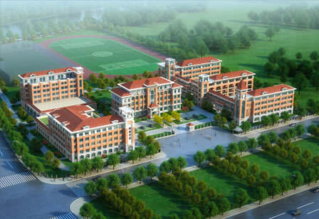 測試的案例信息，測試的案例信息